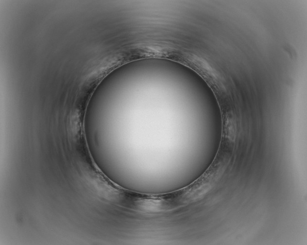 X0000110910318200906181348