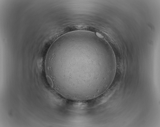 X0000110910319200906181348