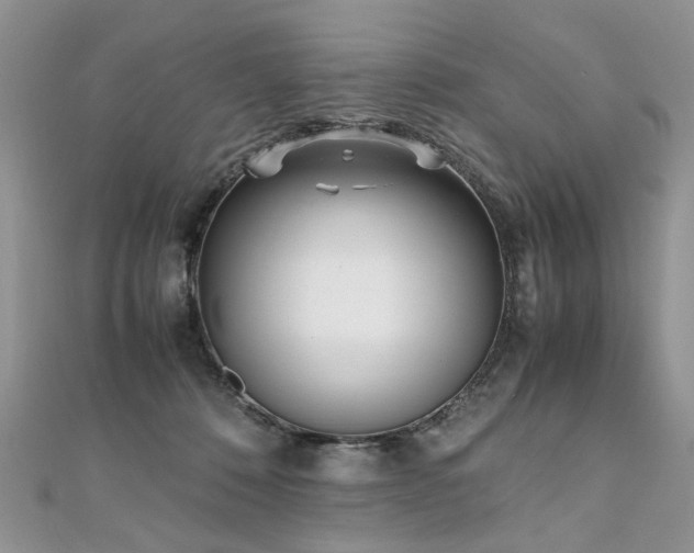 X0000110910320200906181348