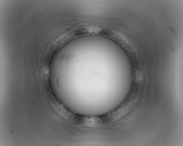 X0000110910321200906181348