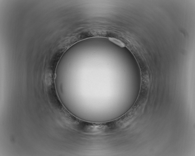 X0000110910323200906181348