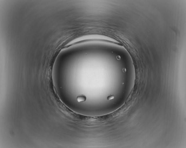 X0000110910325200906181348