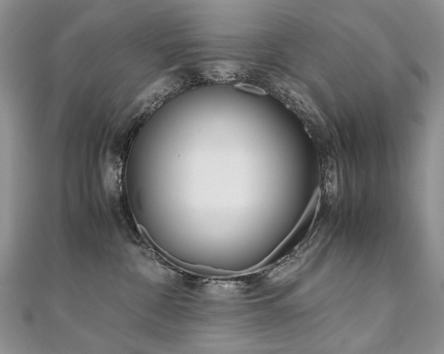 X0000110910332200906181348