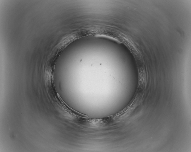 X0000110910333200906181348