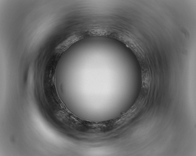 X0000110910334200906181348