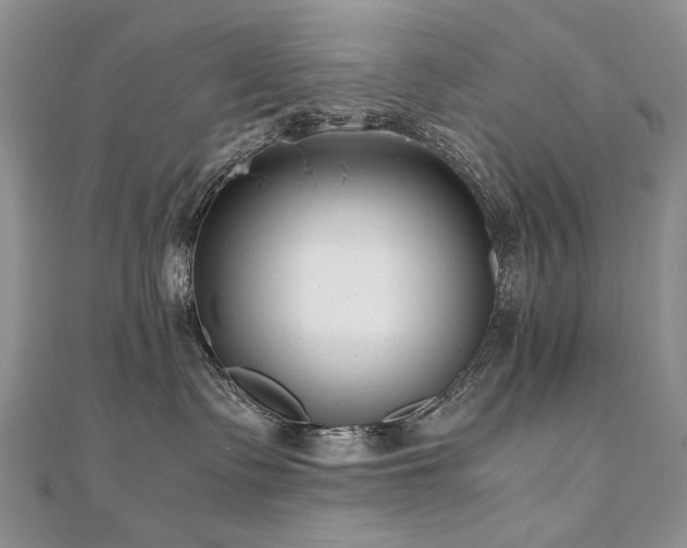 X0000110910335200906181348