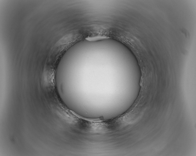 X0000110910336200906181348