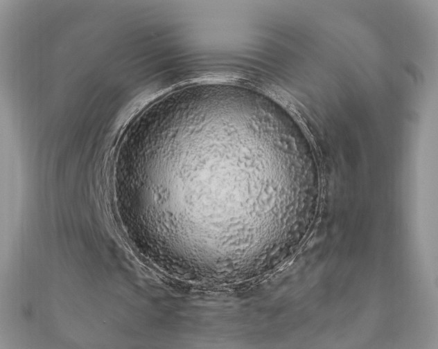 X0000110910337200906181348