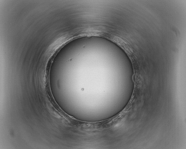 X0000110910338200906181348