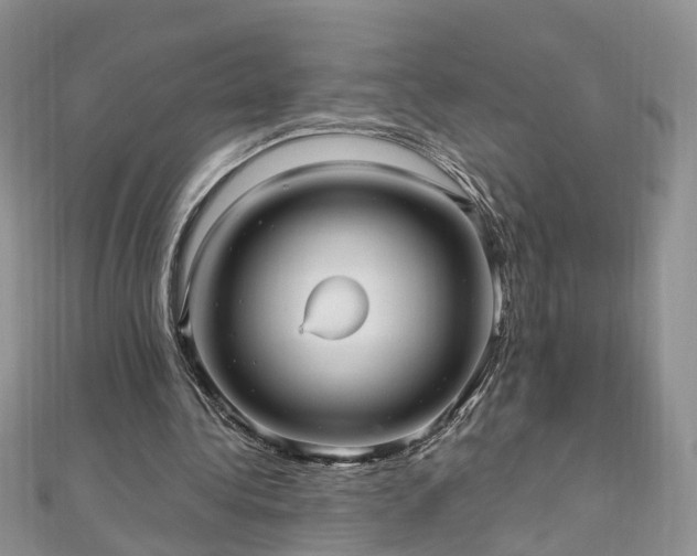 X0000110910340200906181348