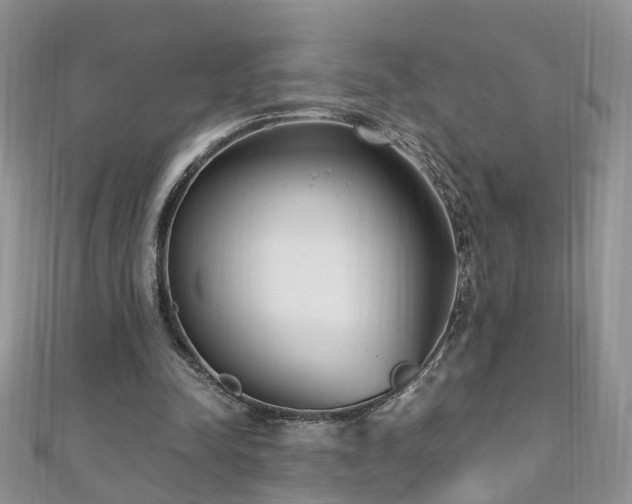 X0000110910342200906181348