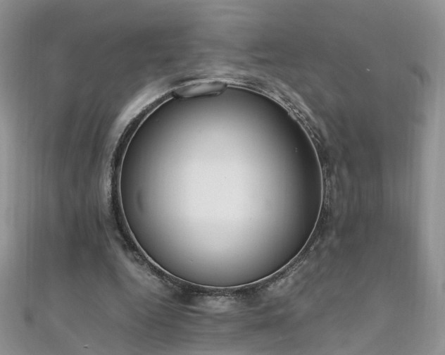 X0000110910344200906181348