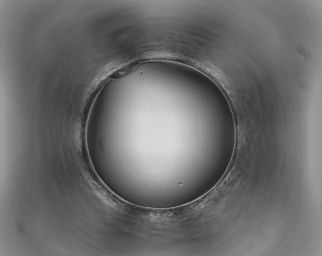 X0000110910345200906181348