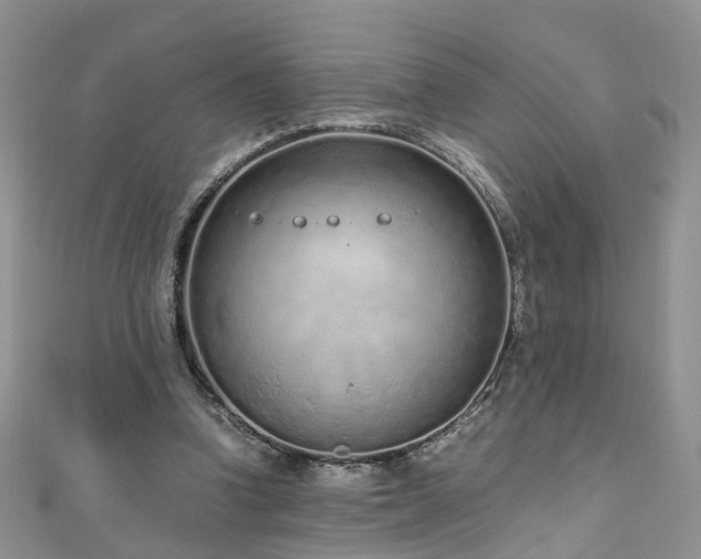 X0000110910346200906181348