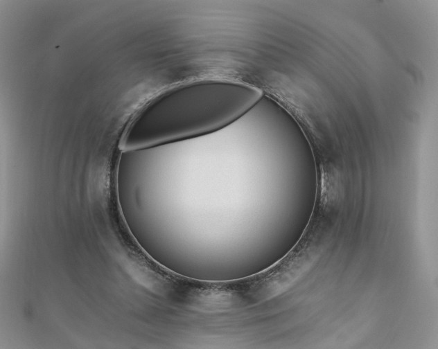 X0000110910348200906181348