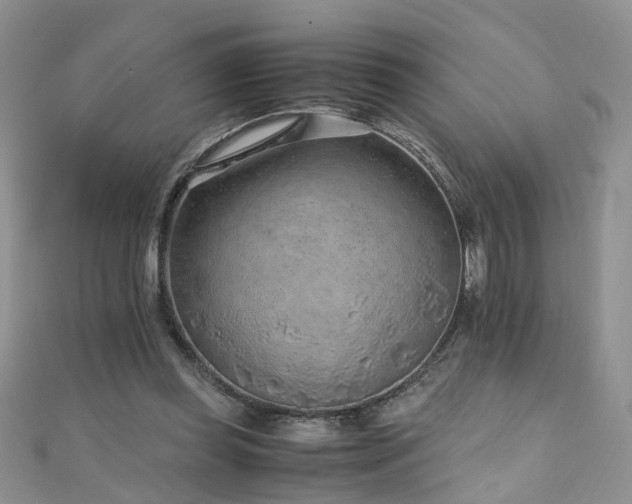 X0000110910349200906181348