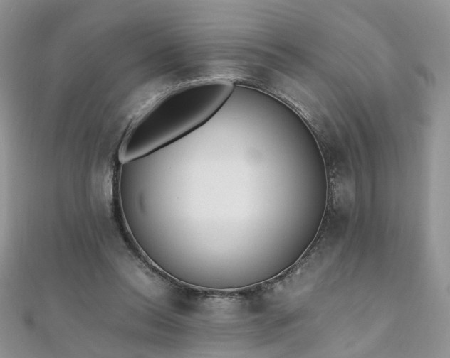 X0000110910350200906181348