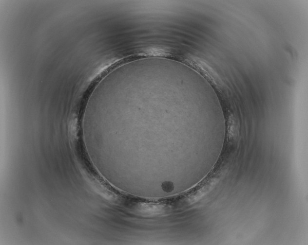 X0000110910351200906181348