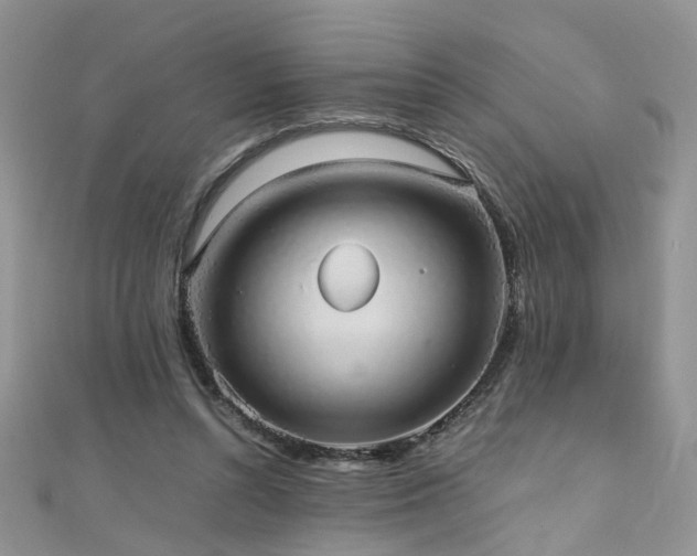 X0000110910352200906181348