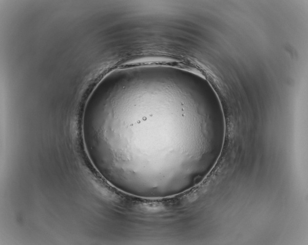 X0000110910353200906181348