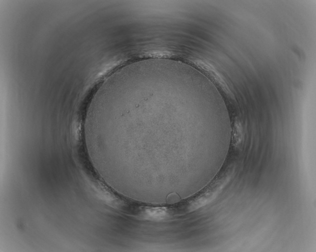 X0000110910355200906181348