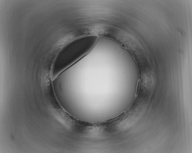 X0000110910356200906181348