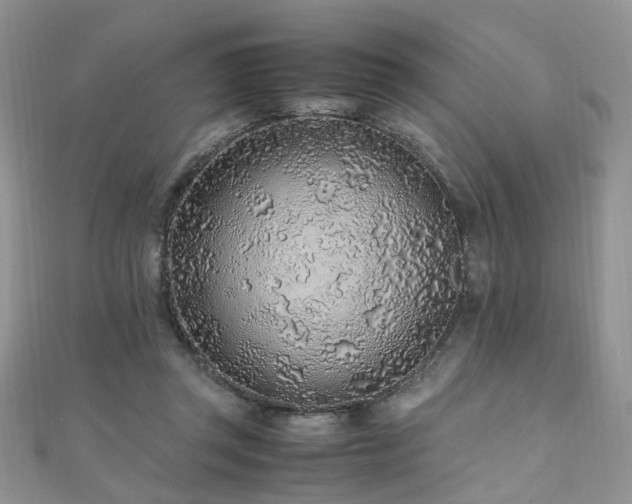 X0000110910357200906181348