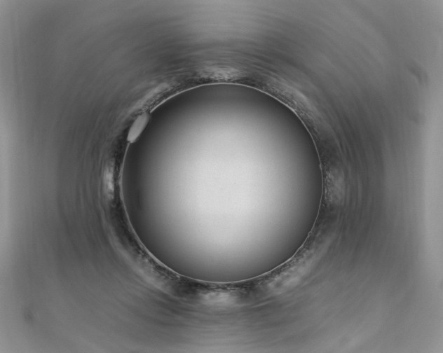 X0000110910358200906181348