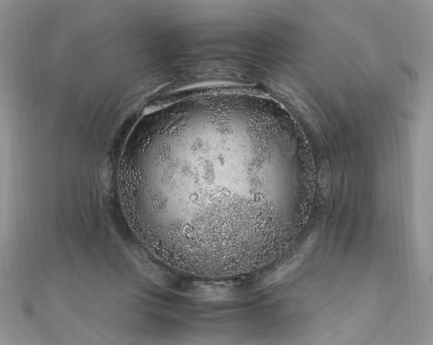 X0000110910359200906181348