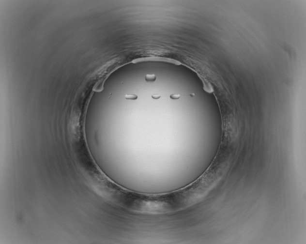 X0000110910360200906181348