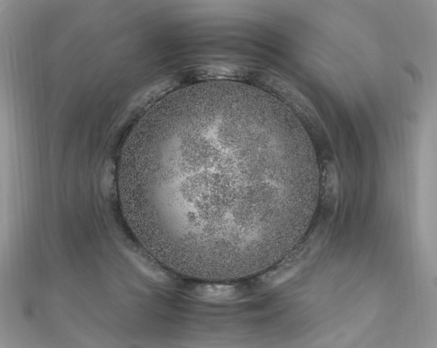 X0000110910361200906181348