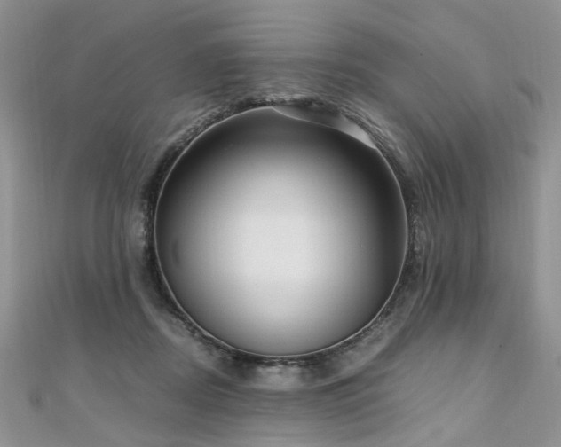 X0000110910362200906181348