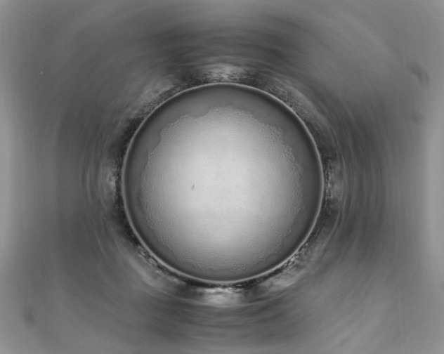 X0000110910363200906181348