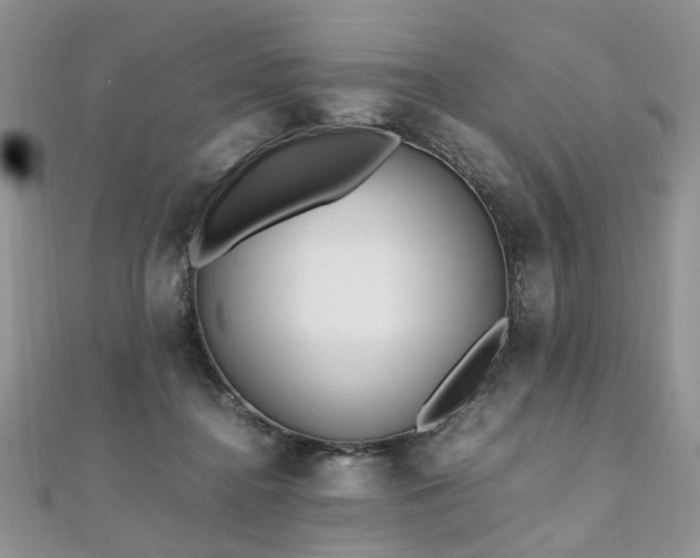 X0000110910364200906181348