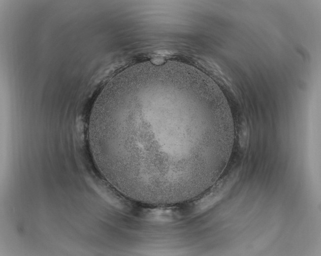 X0000110910366200906181348