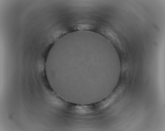 X0000110910367200906181348