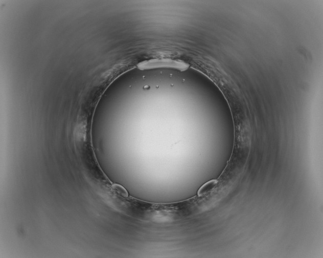 X0000110910368200906181348