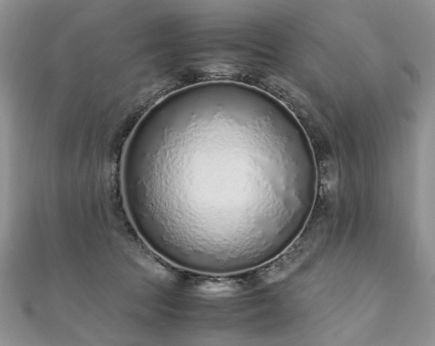 X0000110910369200906181348