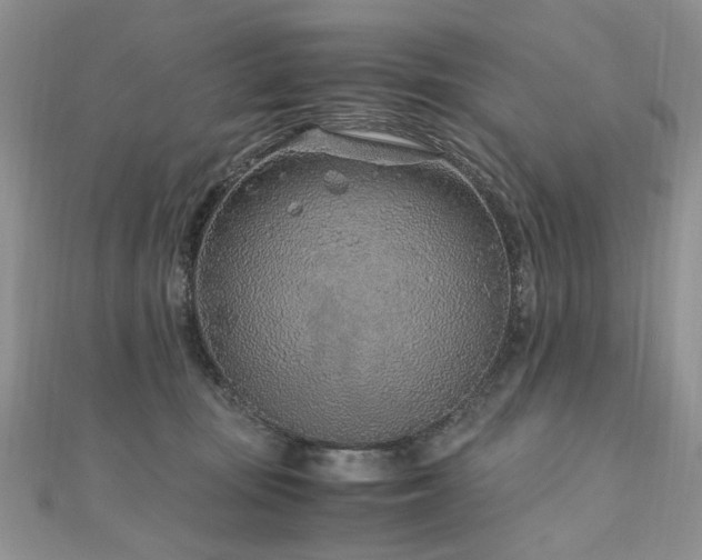 X0000110910371200906181348