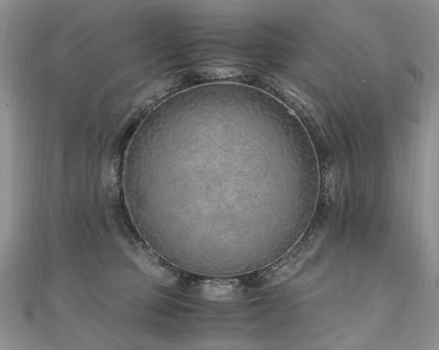 X0000110910373200906181348