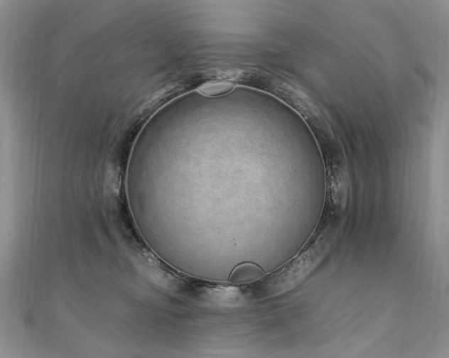 X0000110910374200906181348