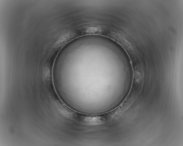 X0000110910375200906181348