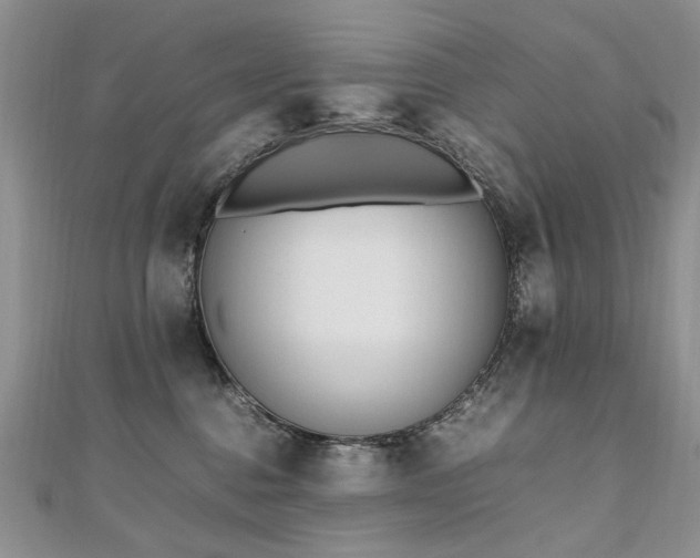 X0000110910376200906181348