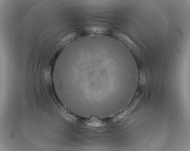 X0000110910377200906181348