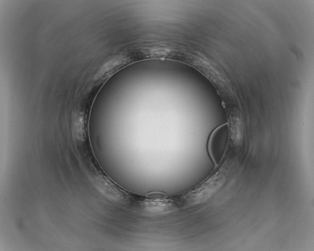 X0000110910378200906181348