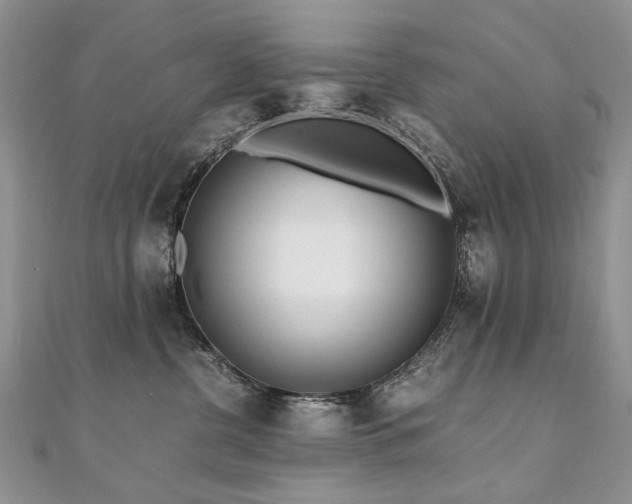 X0000110910380200906181348