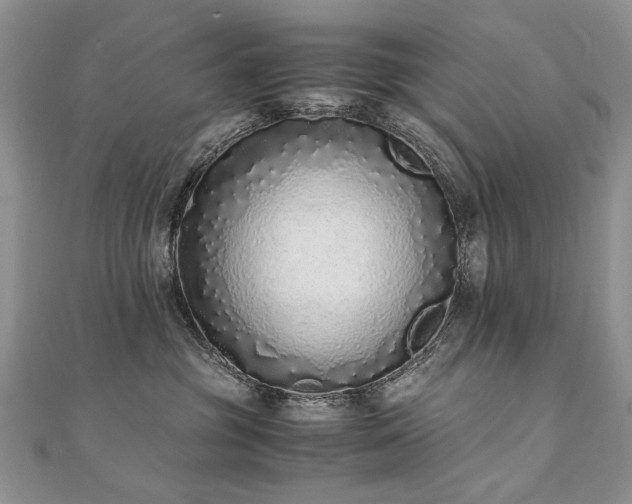 X0000110910381200906181348