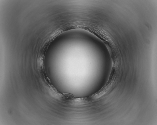 X0000110910382200906181348