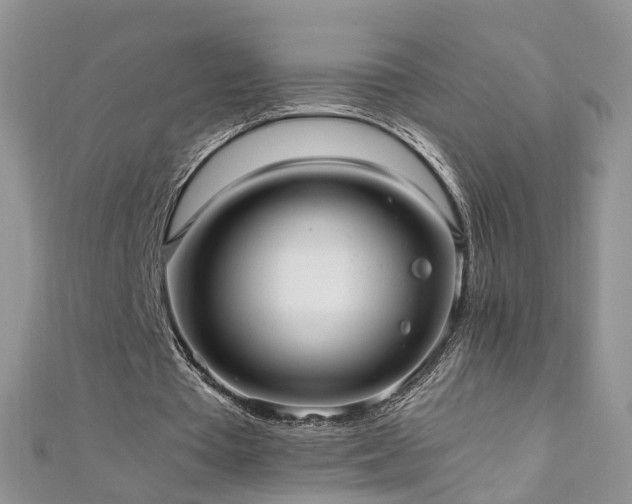 X0000110910385200906181347