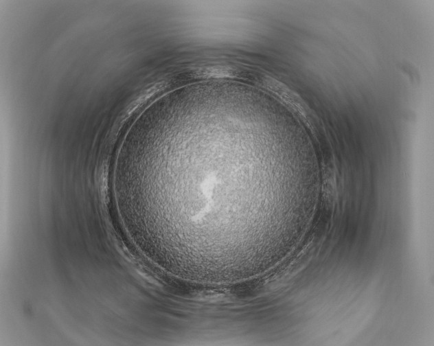 X0000110910386200906181347